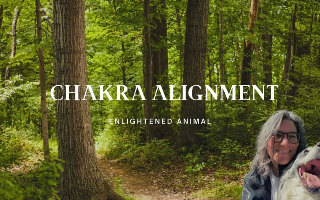 Chakra alignment exercise to help you and your dog