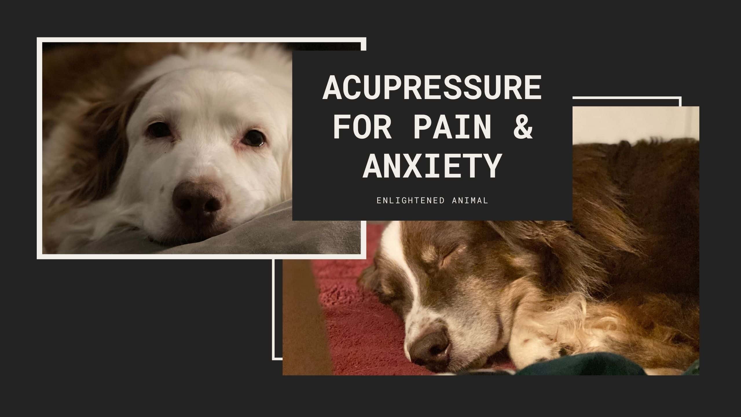 EA acupressure cover