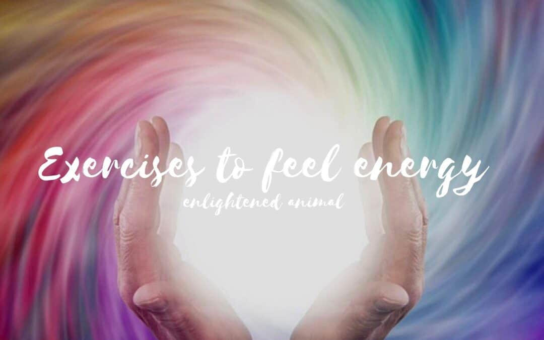 Exercises to start feeling energy in order to help your dog heal