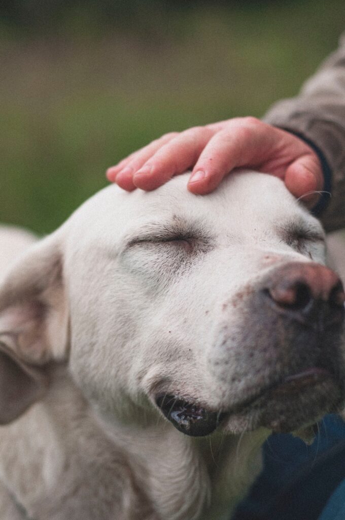 energy healing exercise