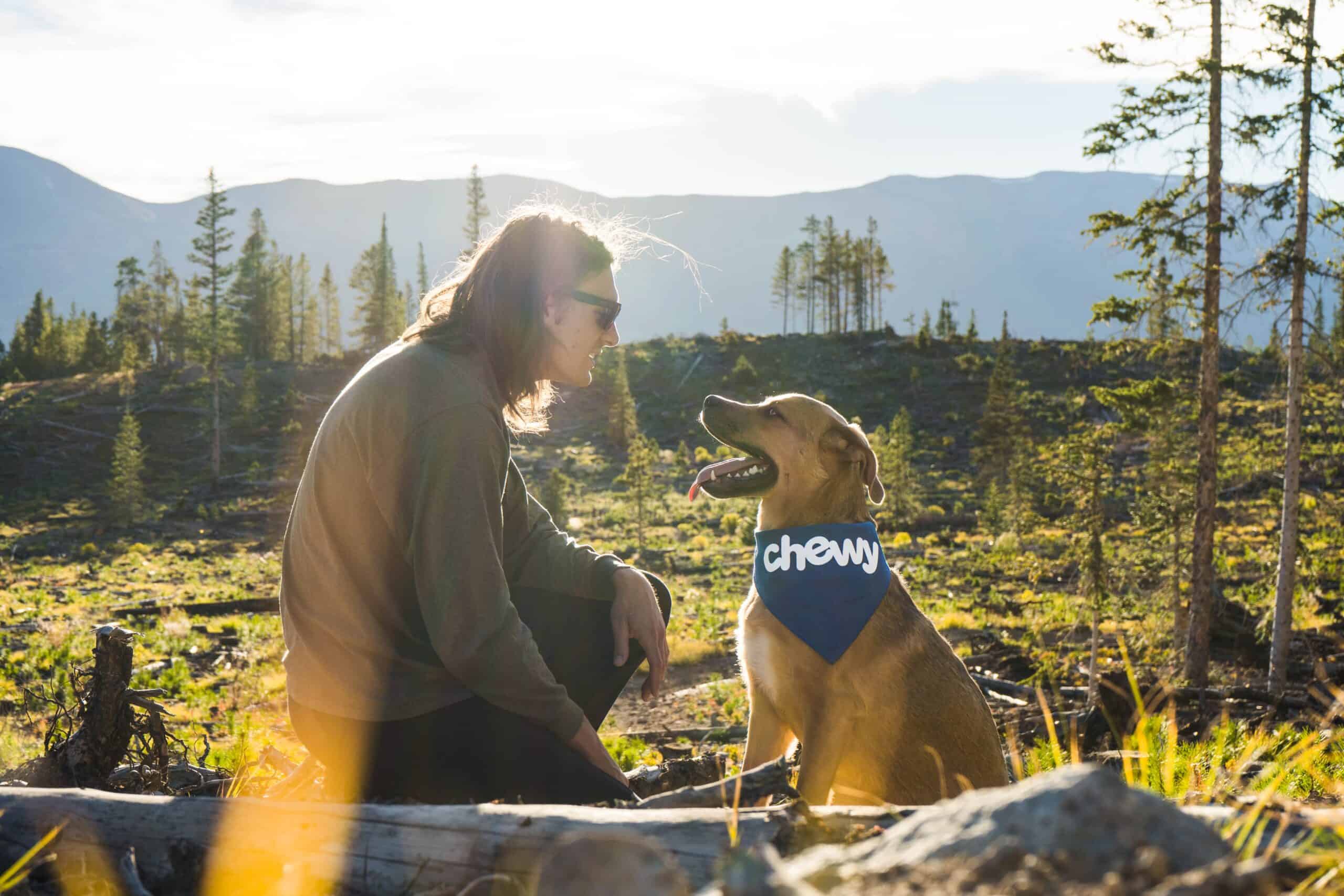 person and dog communicating