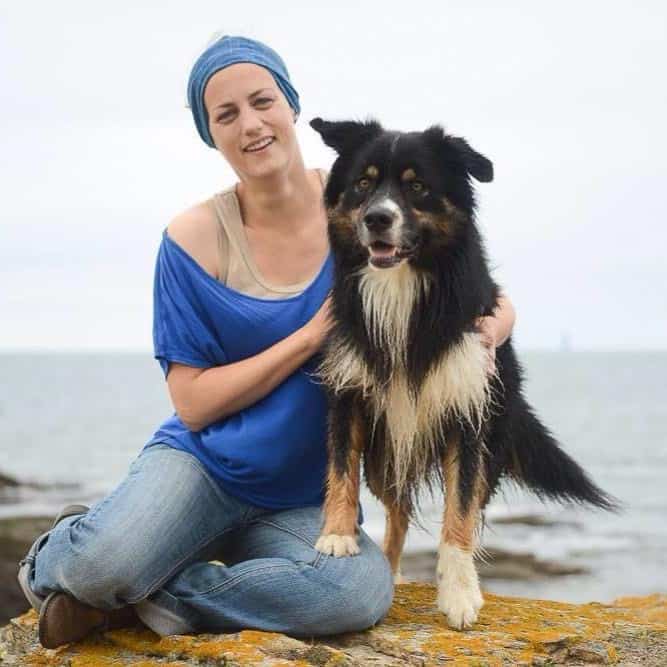 healing energy in dogs