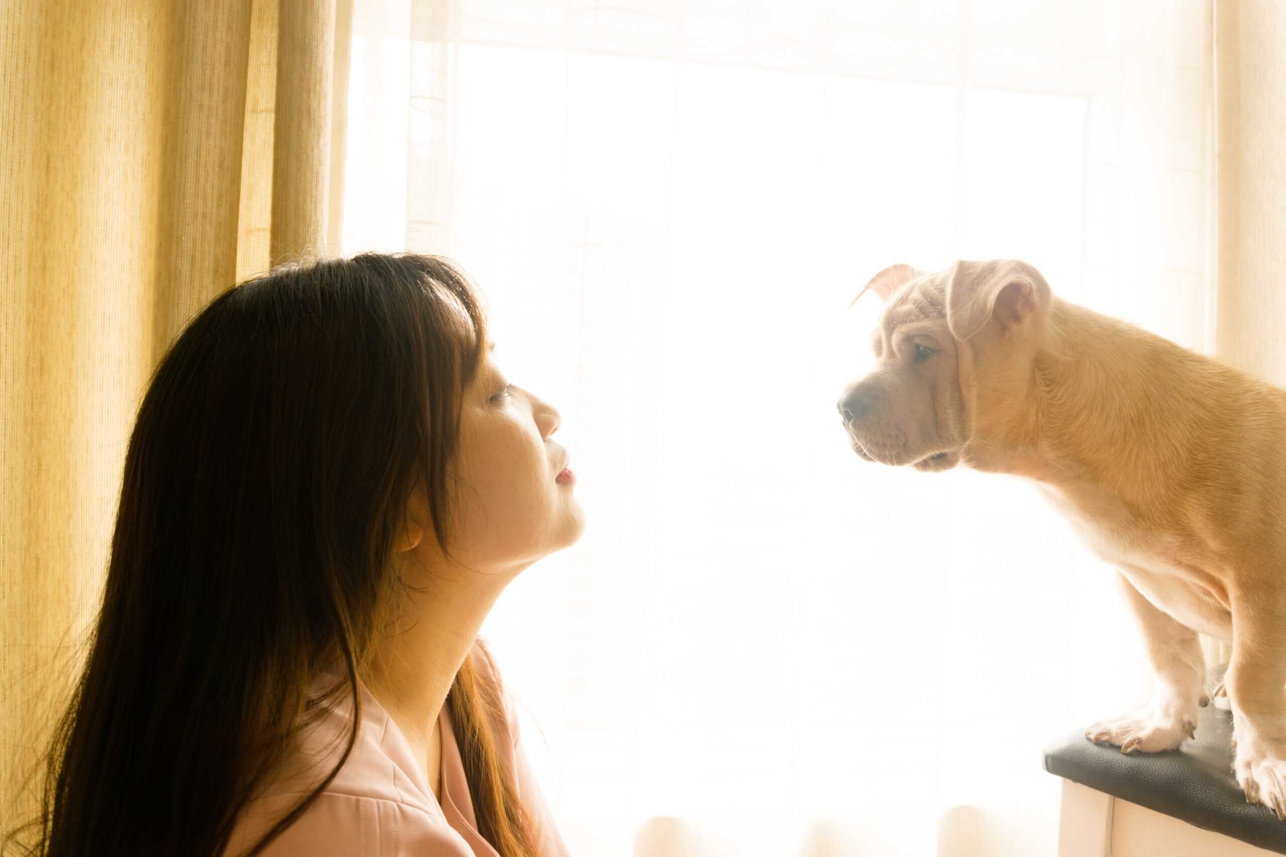 woman talking to dog