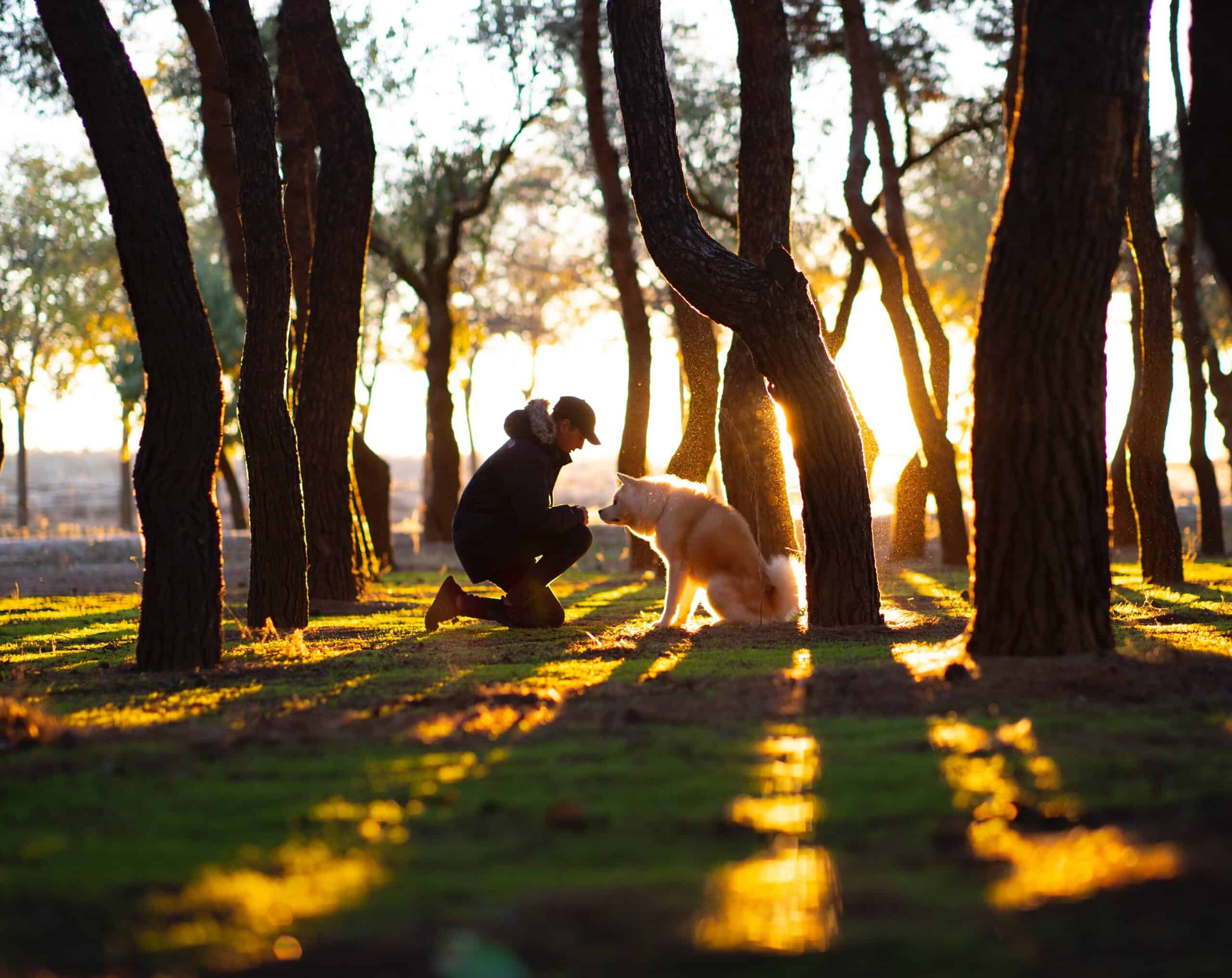 woman and dog in forest