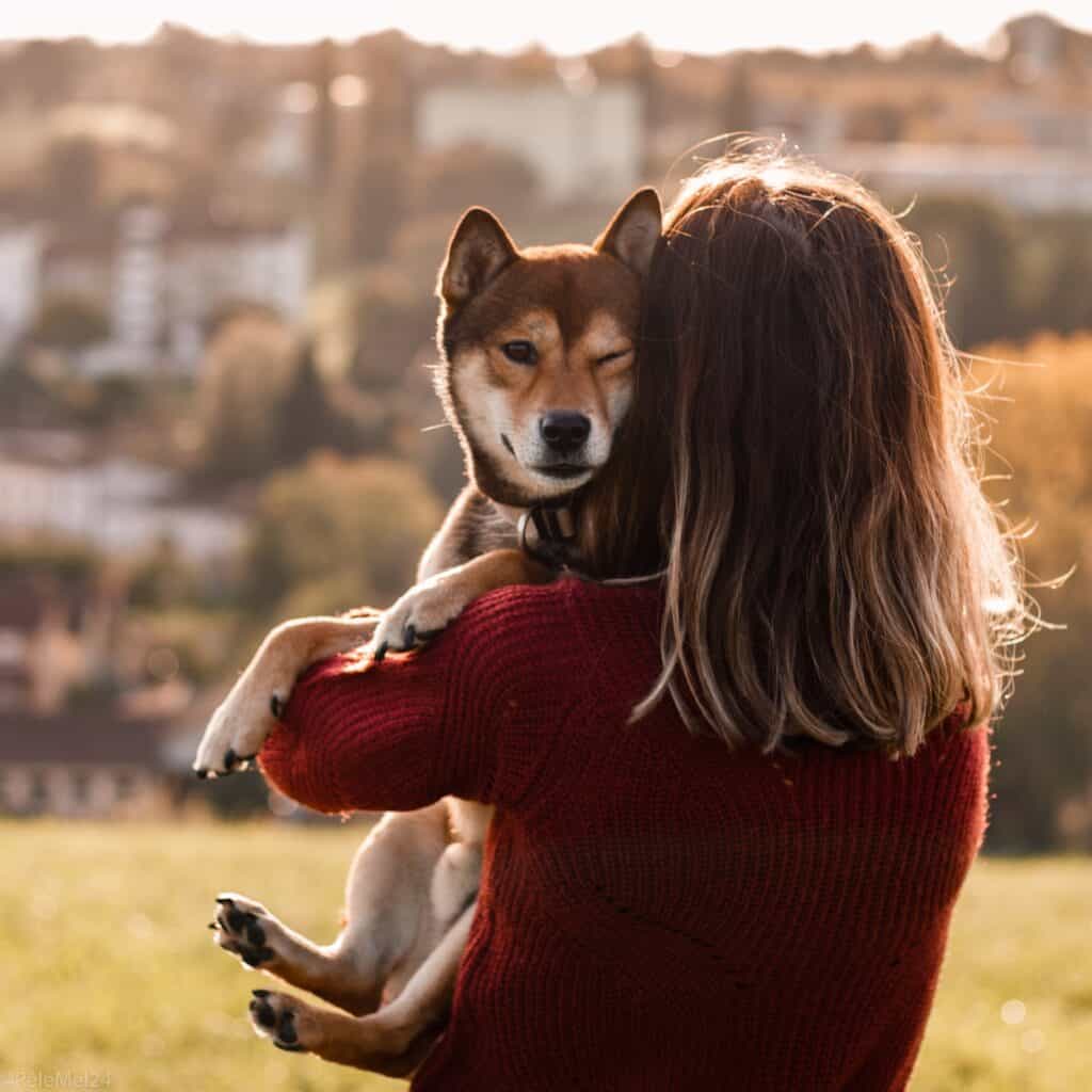 pet love
