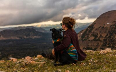 Cancel Culture in the Dog Parenting World