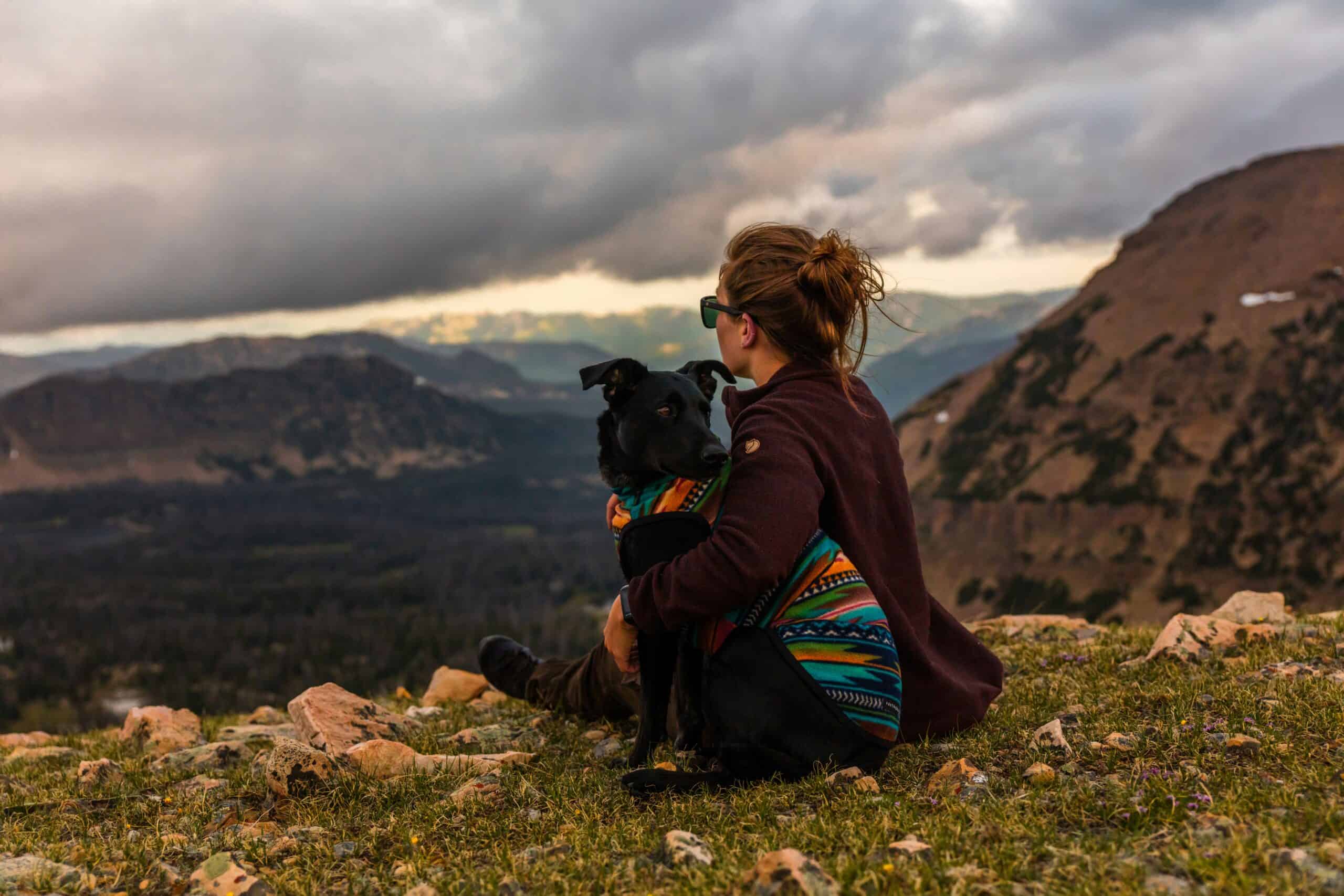 patrick-hendry-J61yvWuHSAQ-unsplash Cancel Culture in pet parenting