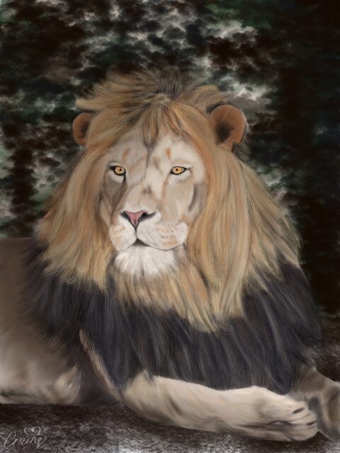 lion print, lion art, wildlife art