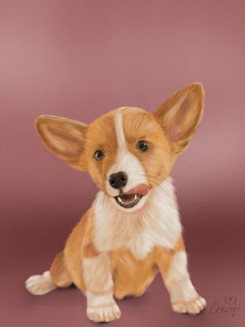 animal art, pet portrait, dog print