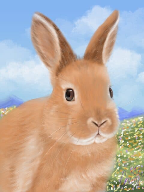 rabbit print, pet portrait, animal art