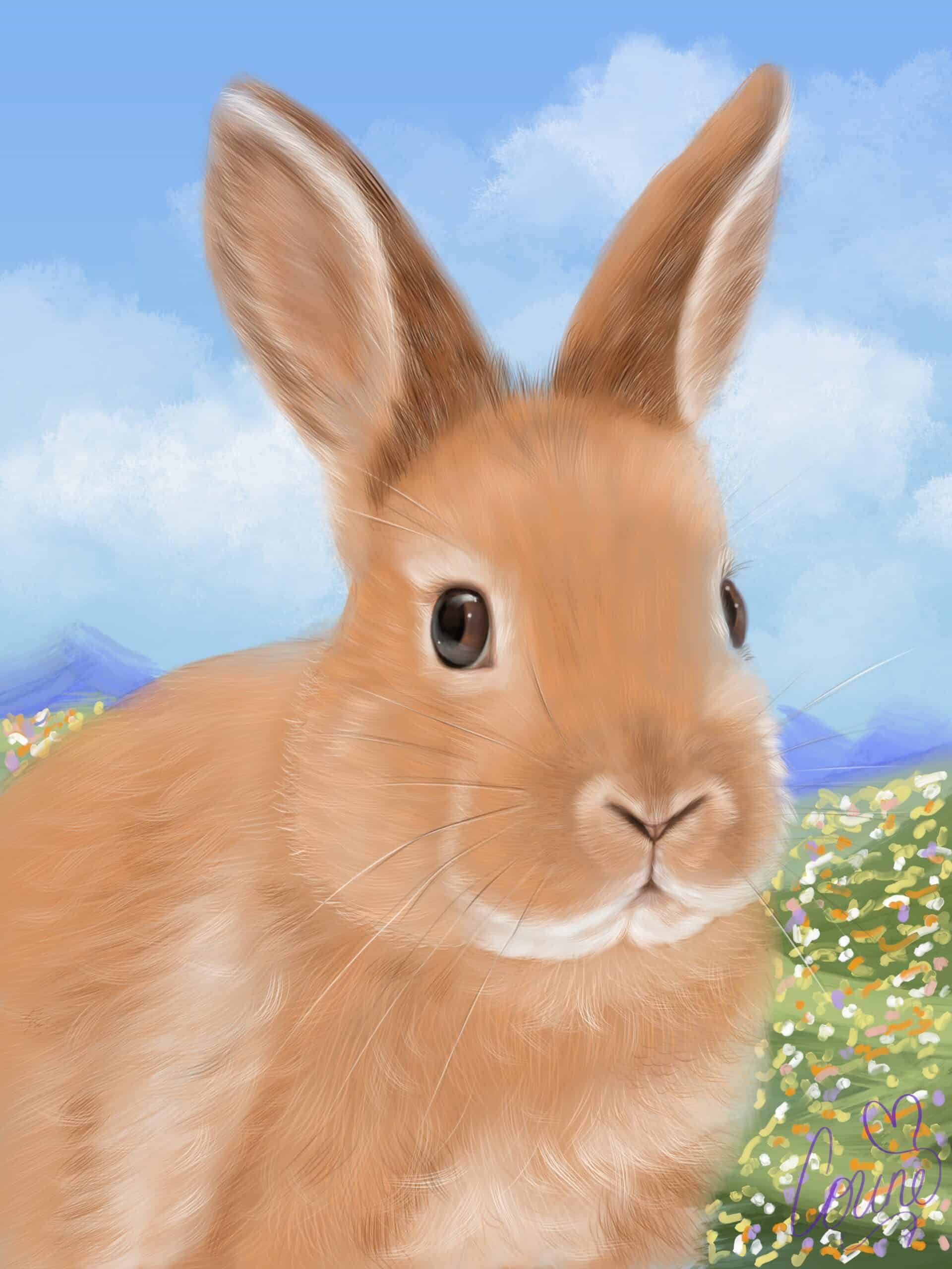 rabbit print, pet portrait, animal art