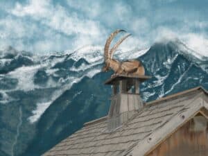 ibex, wildlife art, animal print