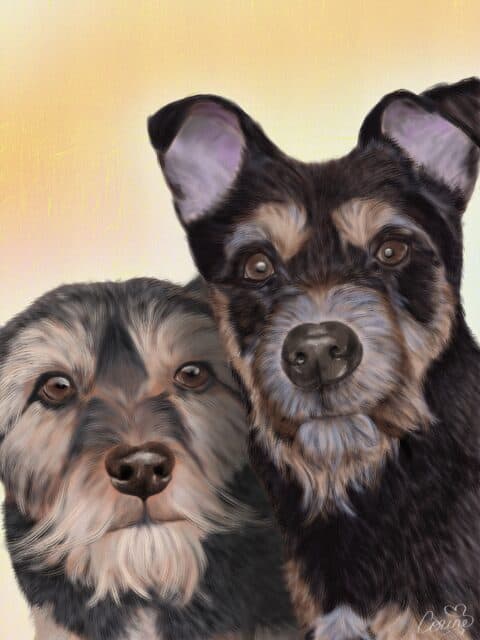 mabel and skipper, rescue dogs, dog portrait