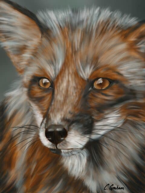 fox art, wildlife print