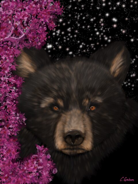 bear print, bear art, wildlife art